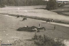 widok_z_batorza_