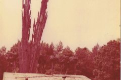porytowe_wzgorze_1977_
