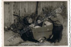 rodzinne_iii_53_20131118_1911043499